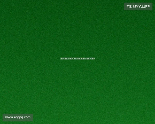 美国著名赛车赛事、美国纳斯卡赛事高速激情与荣耀时刻追寻